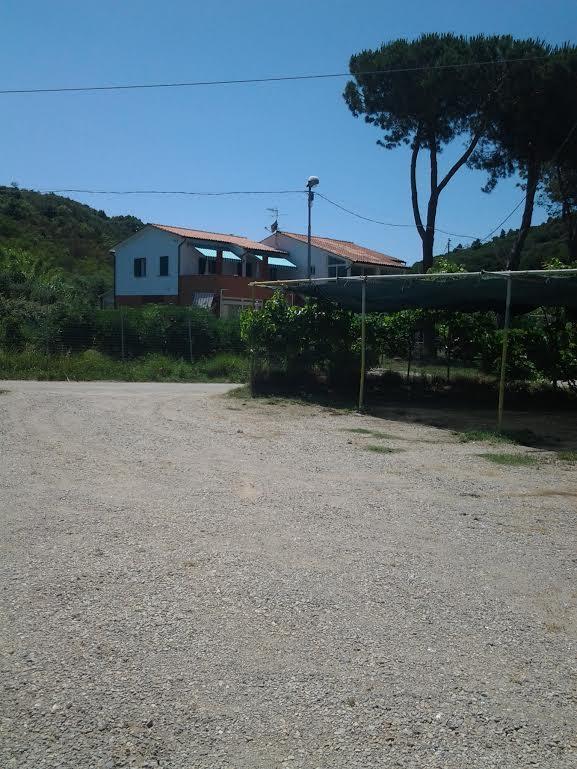 Hotel Rustichello Marina di Campo Luaran gambar