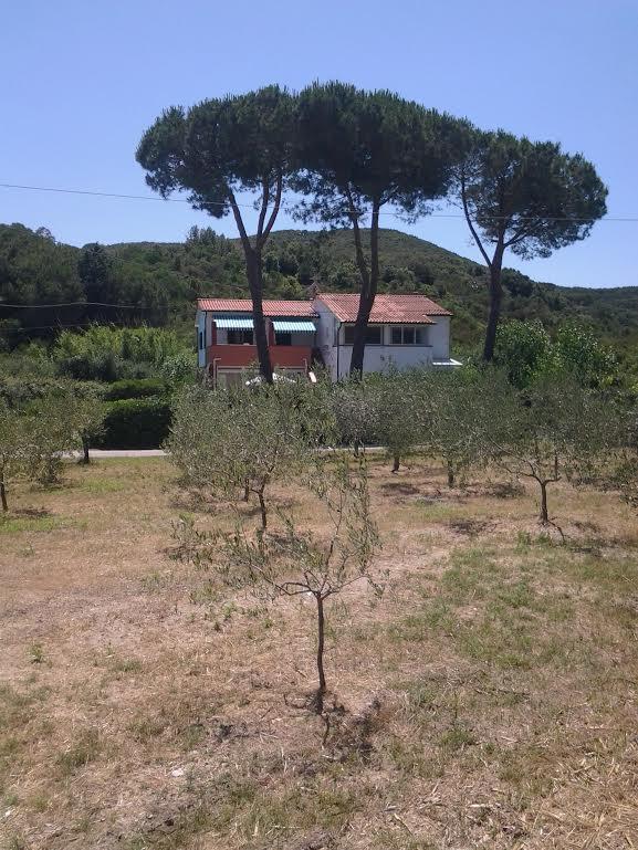 Hotel Rustichello Marina di Campo Luaran gambar